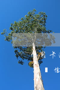 信用卡逾期超三個(gè)月會(huì)怎樣(信用卡3個(gè)月逾期)