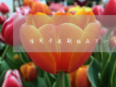 信用卡逾期超五万一个月几百