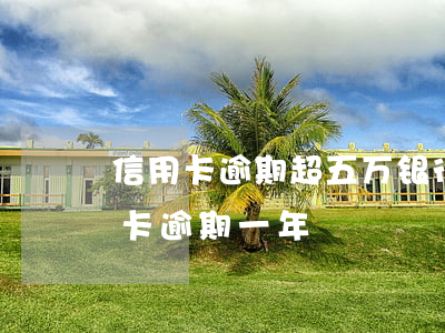 信用卡逾期超五万银行怎么立案(五千的信用卡逾期一年)
