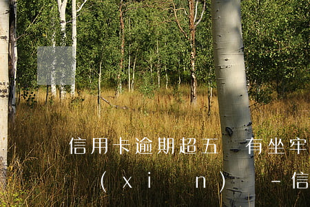 信用卡逾期超五萬有坐牢的風(fēng)險(xiǎn)嗎-信用卡逾期超五萬有坐牢的風(fēng)險(xiǎn)嗎知乎
