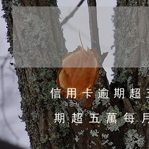 信用卡逾期超五萬每月還100-信用卡逾期超五萬每月還100元