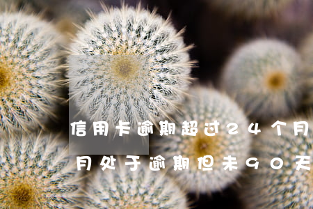 信用卡逾期超过24个月 信用卡5年内4个月处于逾期,但未90天逾期