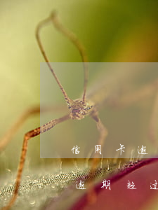 信用卡逾期超过3个月还能开通吗-信用卡逾期超过3个月还能开通吗怎么办