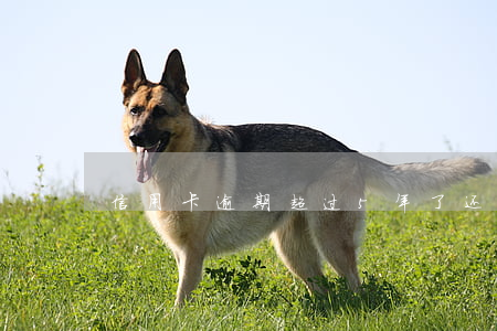 信用卡逾期超过5年了还会坐牢吗