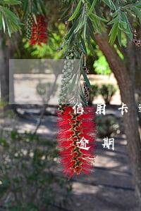 信用卡逾期超过一年会被抓吗(被抓了信用卡逾期)