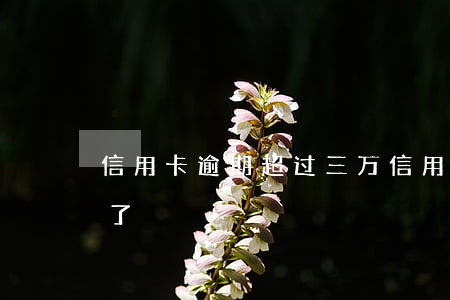 信用卡逾期超过三万(信用卡3千逾期一年多了)