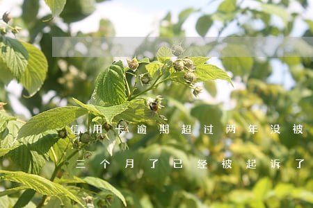 信用卡逾期超过两年没被起诉(我信用卡逾期三个月了已经被起诉了怎么办)