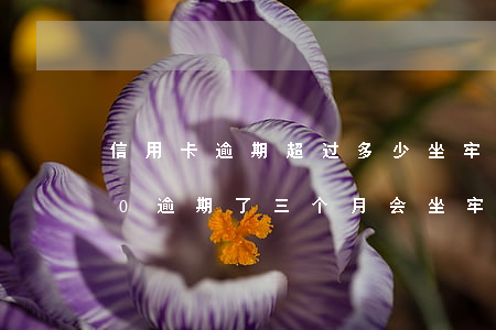 信用卡逾期超过多少坐牢(欠信用卡18000逾期了三个月会坐牢吗)