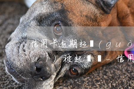 信用卡逾期超過(guò)100天會(huì)被起訴嗎-信用卡逾期超過(guò)100天會(huì)被起訴嗎知乎