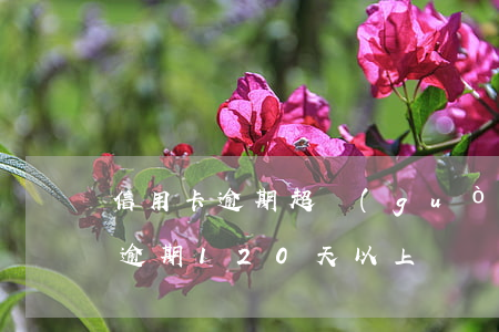 信用卡逾期超過(guò)120天(信用卡逾期120天以上)