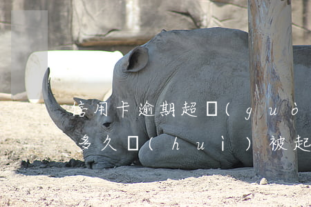 信用卡逾期超過(guò)5萬(wàn)多久會(huì)被起訴-信用卡逾期超過(guò)5萬(wàn)多久會(huì)被起訴呢