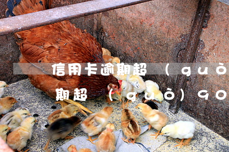 信用卡逾期超過(guò)90天(信用卡逾期超過(guò)90天)