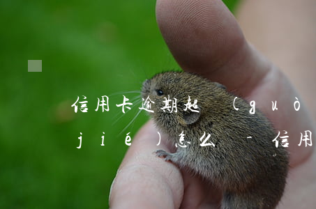 信用卡逾期超過(guò)90天被凍結(jié)怎么辦-信用卡逾期超過(guò)90天被凍結(jié)怎么辦呢