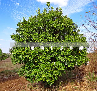信用卡逾期超過(guò)一萬(wàn)塊錢(qián)-一萬(wàn)元信用卡逾期一年多少錢(qián)