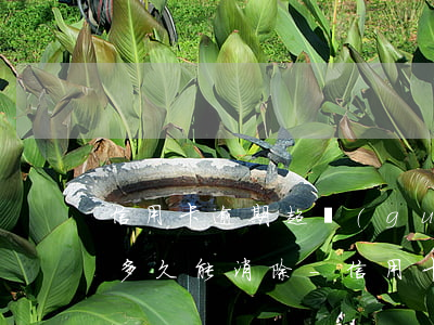 信用卡逾期超過(guò)三個(gè)月多久能消除-信用卡逾期超過(guò)三個(gè)月多久能消除記錄