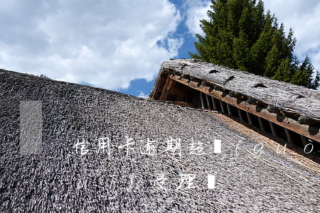 信用卡逾期超過(guò)五年法院會(huì)受理嗎
