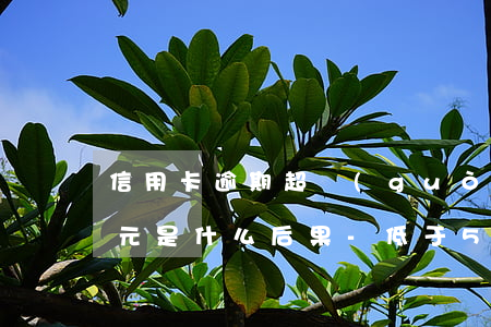 信用卡逾期超過(guò)五萬(wàn)元是什么后果-低于5萬(wàn)信用卡逾期銀行會(huì)起訴嗎