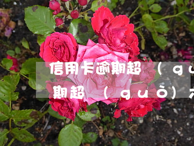信用卡逾期超過(guò)六十天(信用卡逾期超過(guò)六十天車貸不下來(lái)怎么辦)