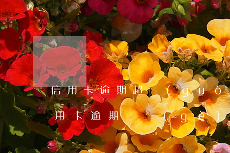 信用卡逾期超過(guò)多少就起訴(我信用卡逾期幾個(gè)月了他們說(shuō)要告我上法院)