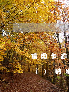 信用卡逾期超過(guò)多少錢會(huì)被拘留-信用卡逾期超過(guò)多少錢會(huì)被拘留呢