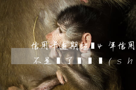 信用卡逾期超過4年(信用卡逾期超過4年是不是過了訴訟時(shí)效)