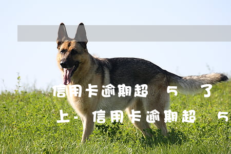 信用卡逾期超過5萬了確實(shí)還不上-信用卡逾期超過5萬了確實(shí)還不上怎么辦