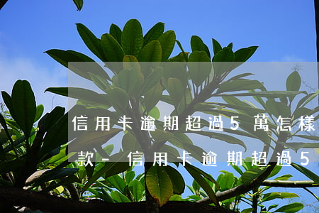 信用卡逾期超過5萬怎樣協(xié)商還款-信用卡逾期超過5萬怎樣協(xié)商還款呢