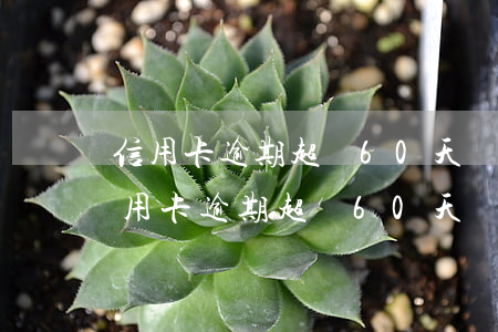 信用卡逾期超過60天兩次多久能恢復-信用卡逾期超過60天兩次多久能恢復正常