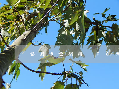 信用卡逾期超過90天已還清