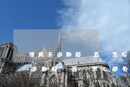 信用卡逾期超過五萬怎么避免立案-信用卡逾期超過五萬怎么避免立案呢