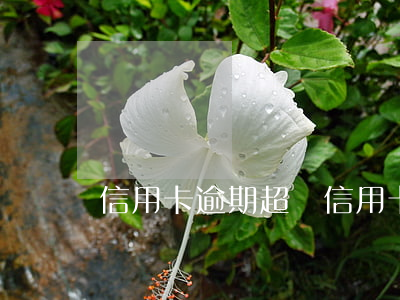 信用卡逾期超過(信用卡逾期超過)