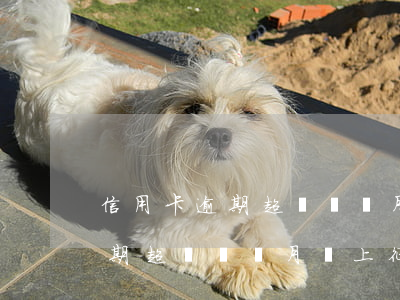信用卡逾期超過兩個月會上征信-信用卡逾期超過兩個月會上征信嗎