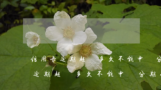信用卡逾期超過多久不能申請分期-信用卡逾期超過多久不能申請分期付款