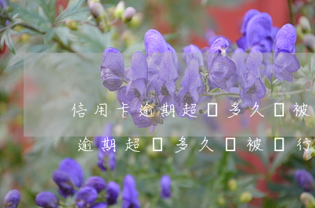 信用卡逾期超過多久會被銀行起訴-信用卡逾期超過多久會被銀行起訴