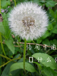 信用卡逾期超過多少不受法律保護(hù) 為什么信用卡沒有逾期無(wú)緣無(wú)故被限制了