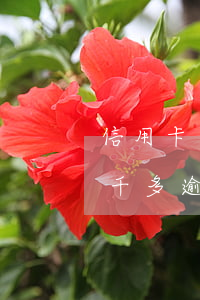 信用卡逾期超過多少錢會被起訴-信用卡7千多逾期了會不會起訴