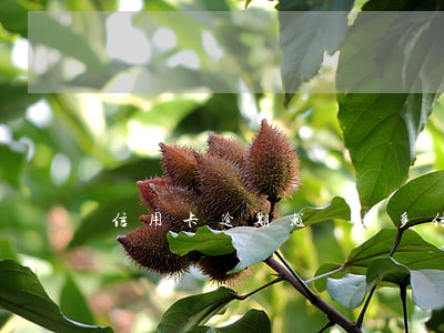 信用卡逾期越還越多 信用卡越還越多