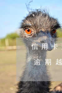信用卡逾期越還越多能只還本金嗎-信用卡逾期越還越多能只還本金嗎