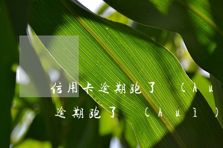 信用卡逾期跑了會(huì)怎么樣(信用卡逾期跑了會(huì)怎么樣)