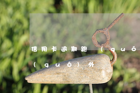 信用卡逾期 跑國(guó)外(欠信用卡跑國(guó)外)