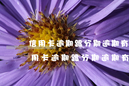 信用卡逾期跟分期逾期有區(qū)別嗎(信用卡逾期跟分期逾期有區(qū)別嗎)