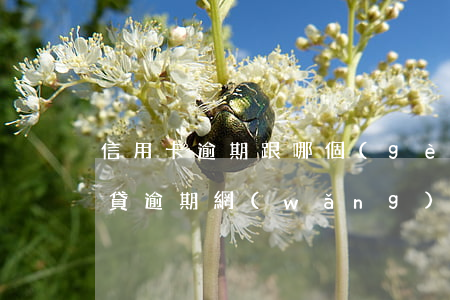 信用卡逾期跟哪個(gè)網(wǎng)貸逾期(網(wǎng)貸逾期會(huì)影響信用卡額度嗎)