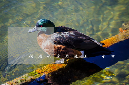 信用卡逾期跟工資卡有關系嗎