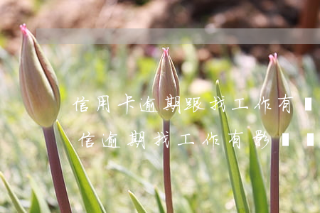 信用卡逾期跟找工作有關(guān)嗎(征信逾期找工作有影響嗎)