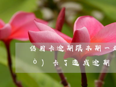 信用卡逾期跟本期一起了(信用卡還錯(cuò)卡了造成逾期)
