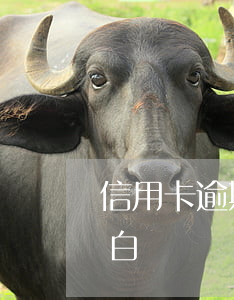 信用卡逾期跟父母坦白（信用卡逾期跟父母坦白）