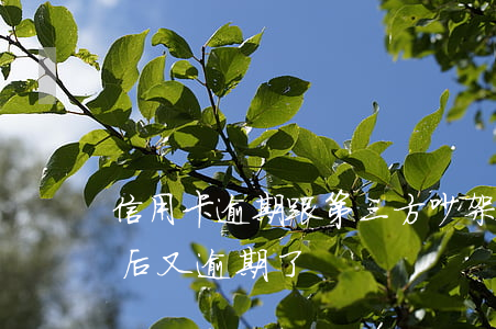 信用卡逾期跟第三方吵架(跟信用卡协商成功后又逾期了)