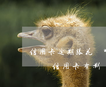 信用卡逾期跟花唄哪個嚴重(花唄逾期多長時間對信用卡有影響嗎)