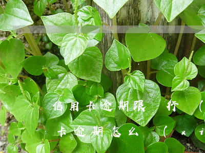 信用卡逾期跟銀行協(xié)商技巧(銀行卡逾期怎么協(xié)商)