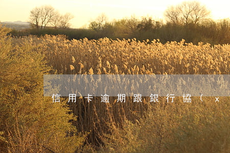 信用卡逾期跟銀行協(xié)商說要上門